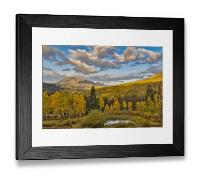 Framed Print : Fall colors near Kebler Pass, Crested Butte, Colorado, USA Framed Print : Fall colors near Kebler Pass, Crested Butte, Colorado, USA