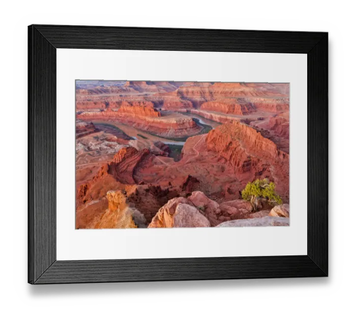 Framed Print : Dead Horse Point in early morning, Dead Horse State Park, Moab, Utah, USA Framed Print : Dead Horse Point in early morning, Dead Horse State Park, Moab, Utah, USA