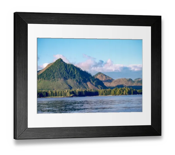 Framed Print : Clear-cut at Olympic National Park, Washington State, USA Framed Print : Clear-cut at Olympic National Park, Washington State, USA