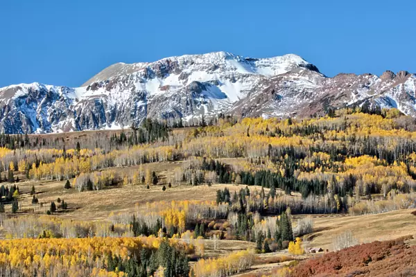 Wilson Mesa in autumn colors, San Juan Mountains, near Telluride, Colorado, USA