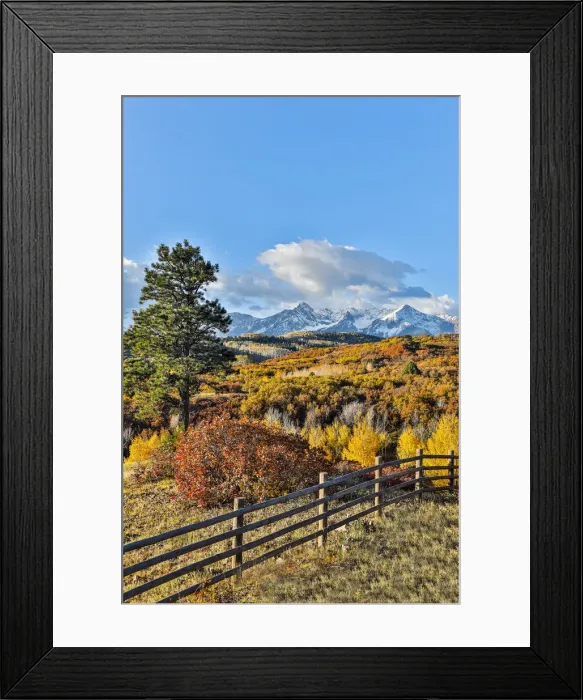 Framed Print : Fence and Aspen trees in autumn colors, Ridgway, Colorado, USA Framed Print : Fence and Aspen trees in autumn colors, Ridgway, Colorado, USA