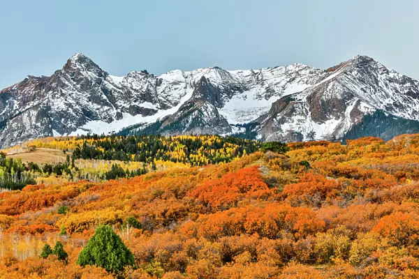 Fall colors with snow-capped mountains, Ridgway, Colorado, USA