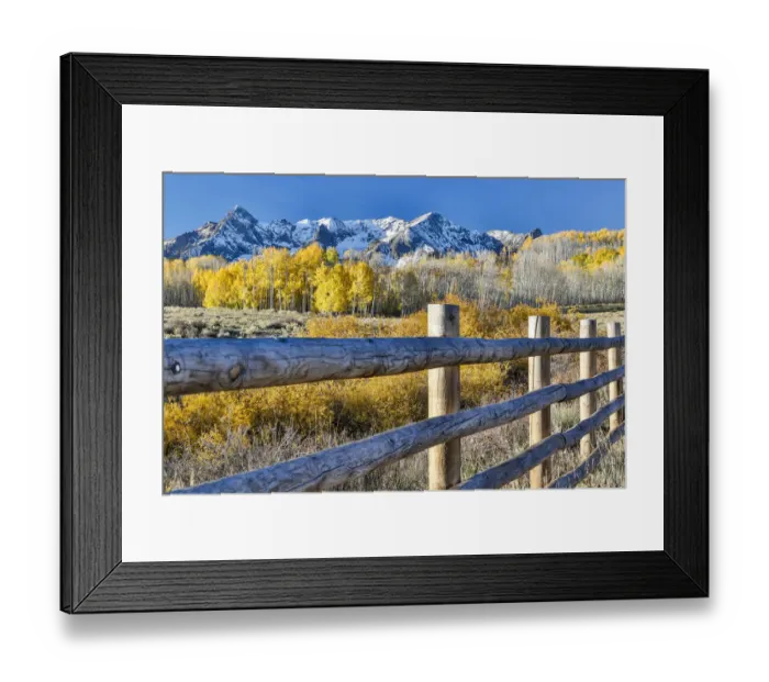 Framed Print : Fence and Aspen trees in autumn colors with snow-capped mountains in background, Ridgway, Colorado, USA Framed Print : Fence and Aspen trees in autumn colors with snow-capped mountains in background, Ridgway, Colorado, USA