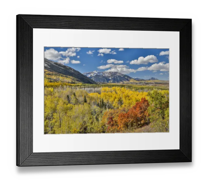 Framed Print : Autumn colors on mountain range, Ridgway, Colorado, USA Framed Print : Autumn colors on mountain range, Ridgway, Colorado, USA