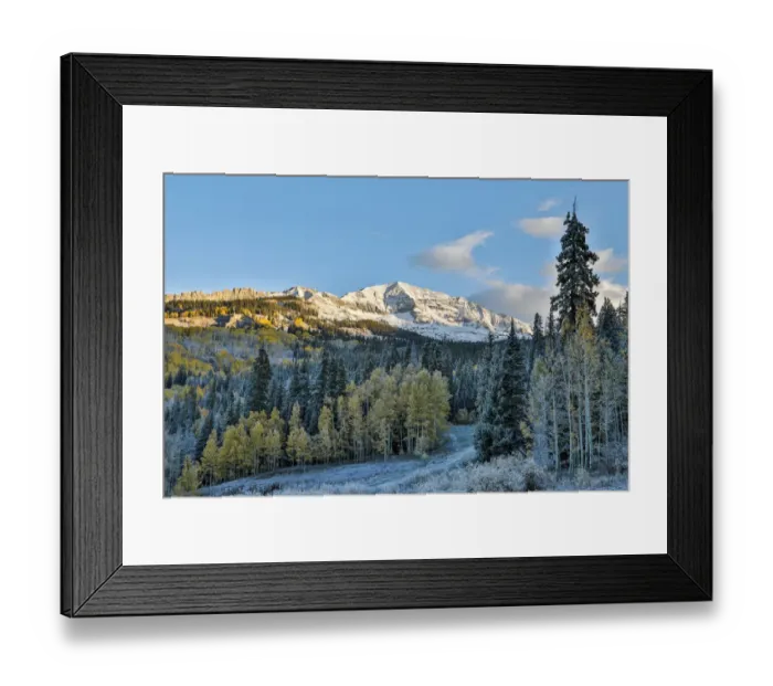 Framed Print : Fall colors with Snow at Kebler Pass, Crested Butte, Colorado, USA Framed Print : Fall colors with Snow at Kebler Pass, Crested Butte, Colorado, USA