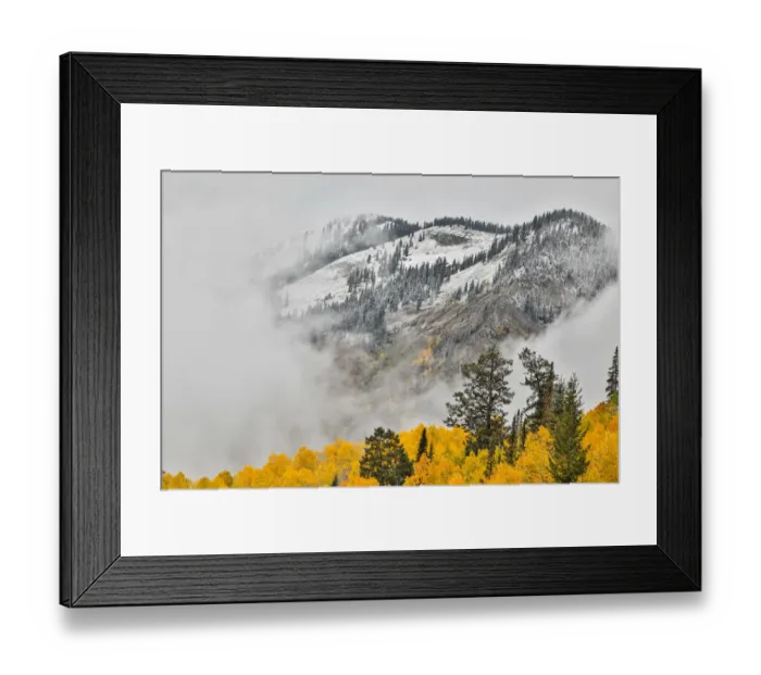 Framed Print : Fog Rolling on Mountain Surrounded by autumn colors, Crested Butte, Colorado, USA Framed Print : Fog Rolling on Mountain Surrounded by autumn colors, Crested Butte, Colorado, USA
