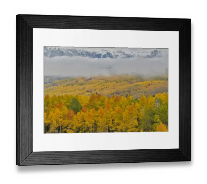 Framed Print : Foggy morning on Ohio Pass with Aspens in Fall color near Crested Butte, Colorado, USA Framed Print : Foggy morning on Ohio Pass with Aspens in Fall color near Crested Butte, Colorado, USA