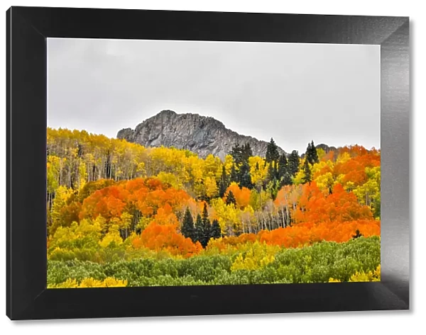 Vibrant Fall Colors, Crested Butte, Colorado, USA
