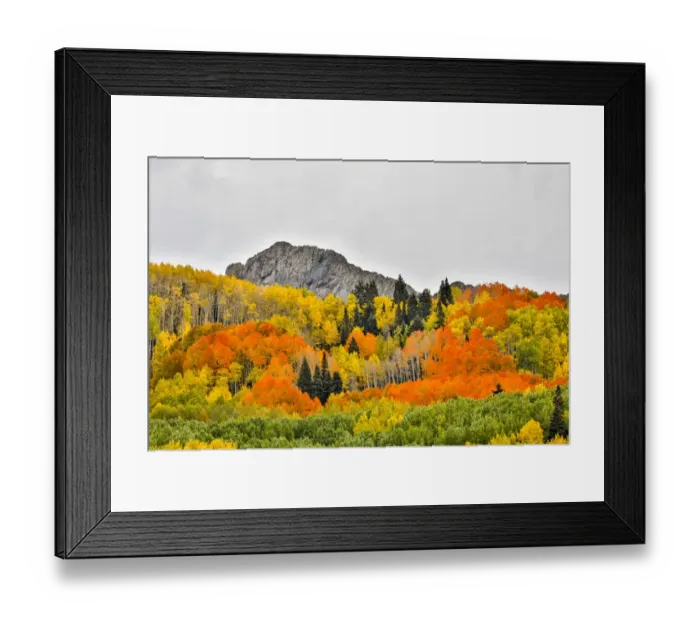 Framed Print : Vibrant Fall Colors, Crested Butte, Colorado, USA Framed Print : Vibrant Fall Colors, Crested Butte, Colorado, USA