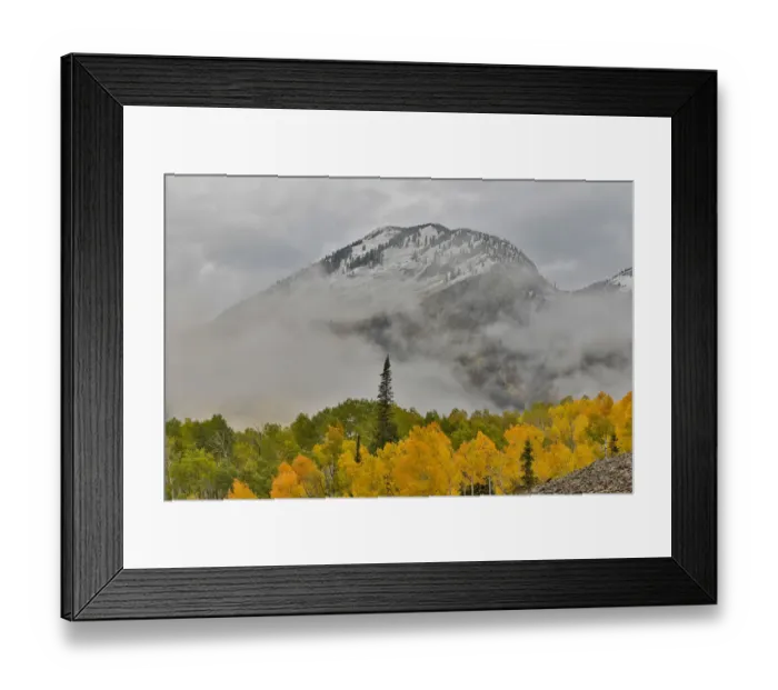 Framed Print : Fog rising around East Beckwith Mountain near Crested Butte in fall colors, Colorado, USA Framed Print : Fog rising around East Beckwith Mountain near Crested Butte in fall colors, Colorado, USA