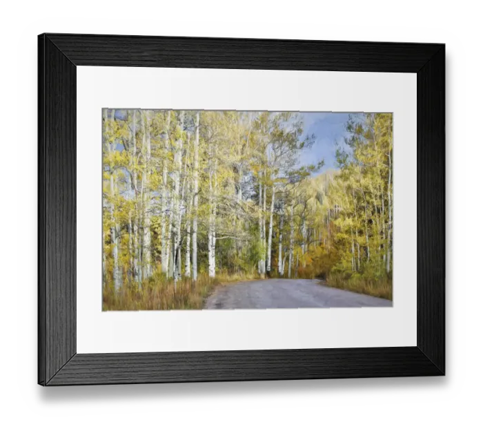 Framed Print : Fall colors along road in Kebler Pass, Crested Butte, Colorado, USA