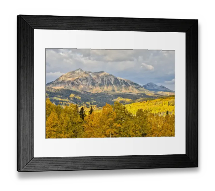 Framed Print : Fall colors at Kebler Pass, Crested Butte, Colorado, USA