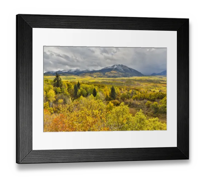 Framed Print : Fall colors near Kebler Pass, Crested Butte, Colorado, USA Framed Print : Fall colors near Kebler Pass, Crested Butte, Colorado, USA