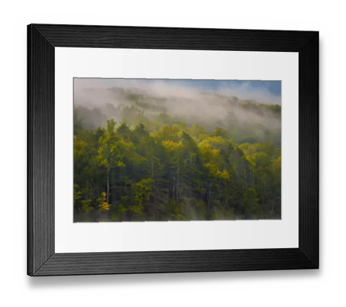 Framed Print : Fog over forest, Delaware Water Gap Recreational Area, Pennsylvania, USA Framed Print : Fog over forest, Delaware Water Gap Recreational Area, Pennsylvania, USA