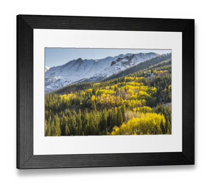 Framed Print : Mountain and forest in autumn, Red Mountain Pass, Colorado, USA