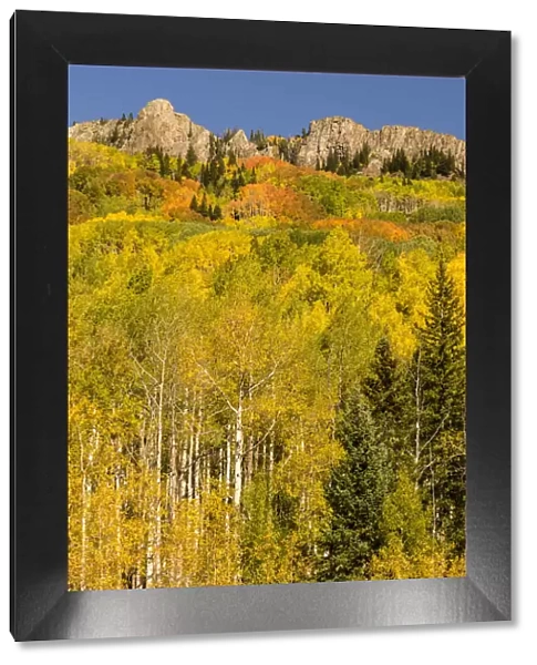Kebler Pass formation and forest in autumn, Gunnison National Forest, Colorado, USA