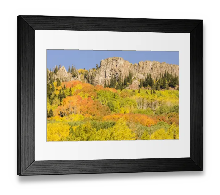 Framed Print : Kebler Pass formation and forest in autumn, Gunnison National Forest, Colorado, USA Framed Print : Kebler Pass formation and forest in autumn, Gunnison National Forest, Colorado, USA