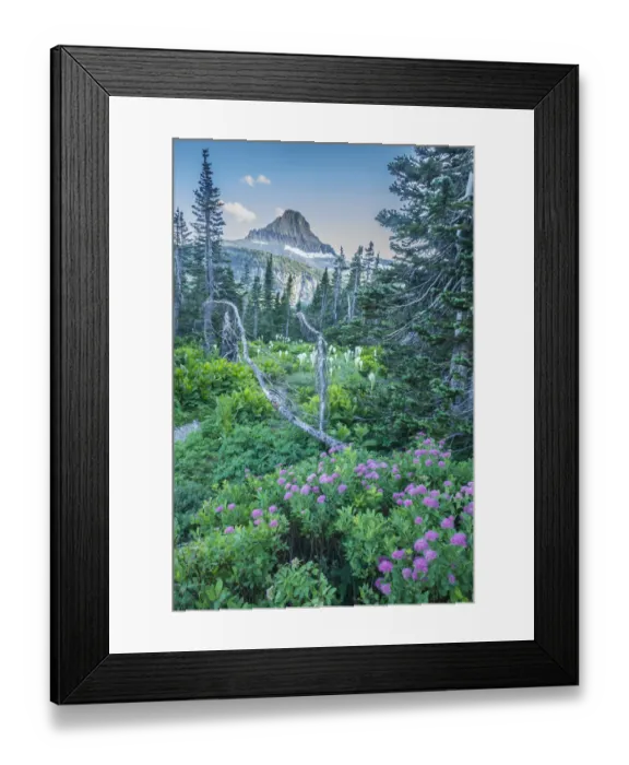 Framed Print : Mountain landscape with spirea flowers and bear grass, Glacier National Park, Montana, USA Framed Print : Mountain landscape with spirea flowers and bear grass, Glacier National Park, Montana, USA