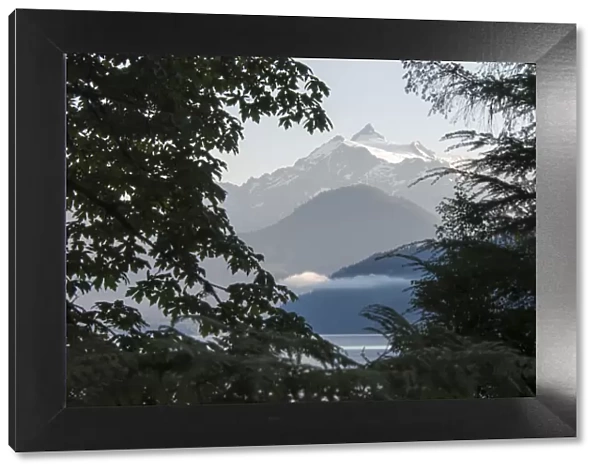 Mt. Shuksan framed by shoreline vegetation, Washington State, USA