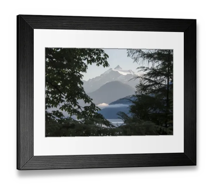 Framed Print : Mt. Shuksan framed by shoreline vegetation, Washington State, USA