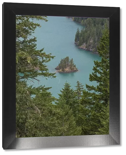 Small island in Diablo Lake, North Cascades National Park, Washington State, USA