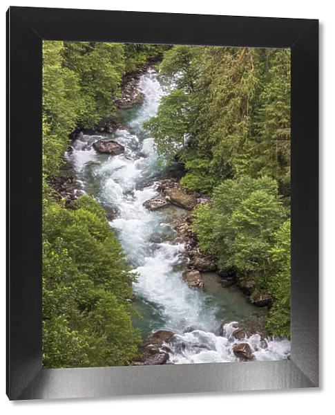 Cascade River flowing through forest, Mount Baker Snoqualmie National Forest, Washington State, USA
