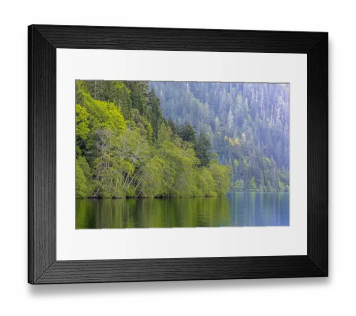 Framed Print : Lake Crescent landscape, Olympic National Park, Washington State, USA