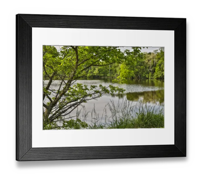 Framed Print : Peaceful morning at Horseshoe Lake, Shaker Heights, Ohio, USA Framed Print : Peaceful morning at Horseshoe Lake, Shaker Heights, Ohio, USA