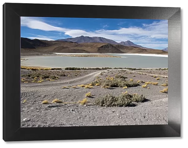 Desert landscape with lakes and mountains, Bolivia