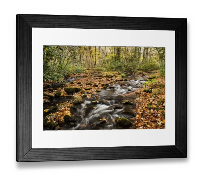 Framed Print : Landscape with Cataloochee Creek in Cataloochee Cove, Appalachian Mountains, Great Smoky Mountains National Park, North Carolina, USA Framed Print : Landscape with Cataloochee Creek in Cataloochee Cove, Appalachian Mountains, Great Smoky Mountains National Park, North Carolina, USA