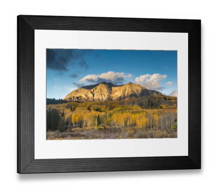 Framed Print : Aspen Trees in autumn, near Crested Butte, Colorado, USA Framed Print : Aspen Trees in autumn, near Crested Butte, Colorado, USA