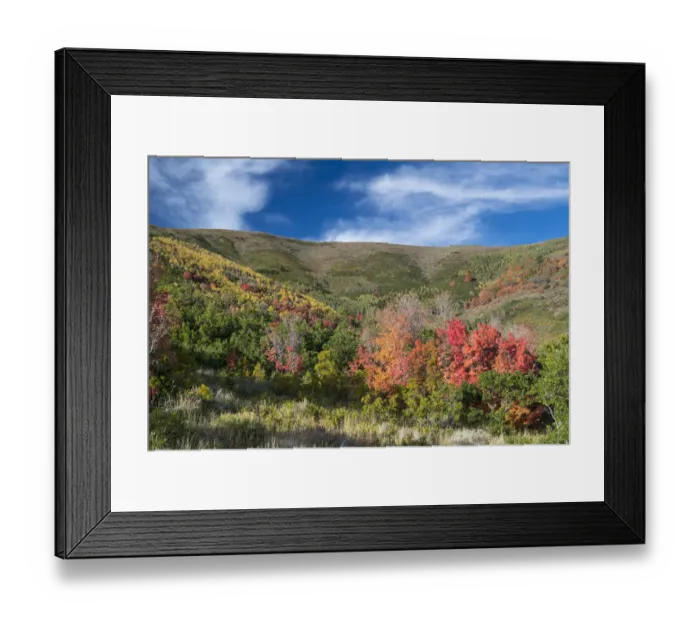 Framed Print : Fall colors in mountains, Midway, Utah, USA Framed Print : Fall colors in mountains, Midway, Utah, USA