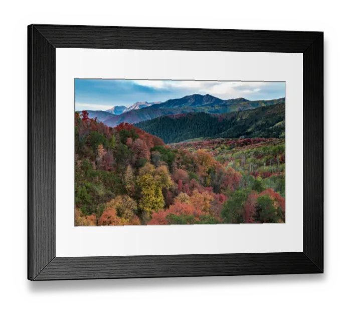 Framed Print : Fall foliage near Midway and Heber Valley, Utah, USA Framed Print : Fall foliage near Midway and Heber Valley, Utah, USA
