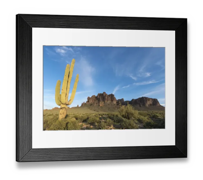 Framed Print : Saguaro (Carnegiea gigantea) in foreground of Lost Dutchman Mine State Park, Superstition Mountains, Arizona, USA Framed Print : Saguaro (Carnegiea gigantea) in foreground of Lost Dutchman Mine State Park, Superstition Mountains, Arizona, USA