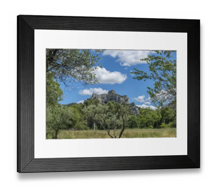 Framed Print : Landscape with mountain and olive trees (Olea europaea), St. Remy, Provence, France Framed Print : Landscape with mountain and olive trees (Olea europaea), St. Remy, Provence, France