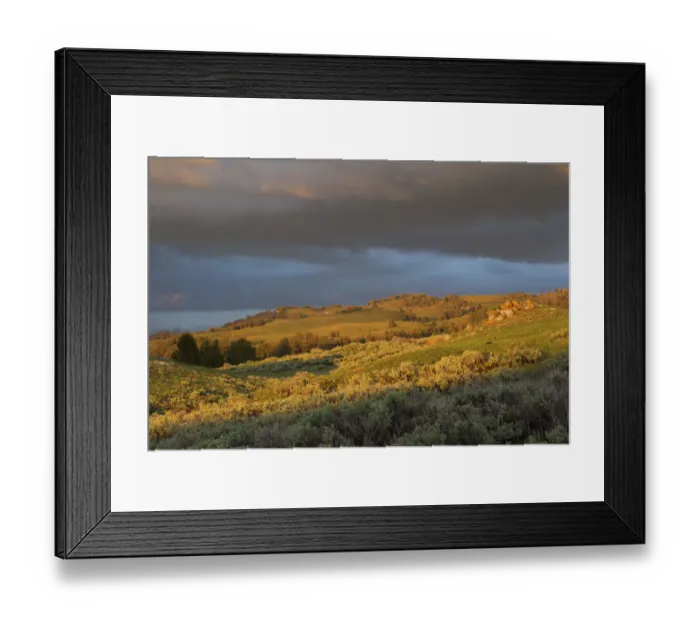 Framed Print : Landscape of Sagebrush steppe in spring, Wyoming, USA