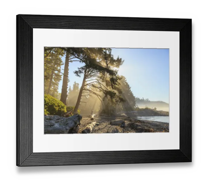 Framed Print : Sunshine streaming through trees, Juan De Fuca Trail, near Jordan River, Vancouver Island, British Columbia, Canada