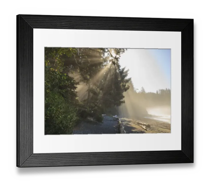 Framed Print : Sunshine streaming through trees, Juan De Fuca Trail, near Jordan River, Vancouver Island, British Columbia, Canada