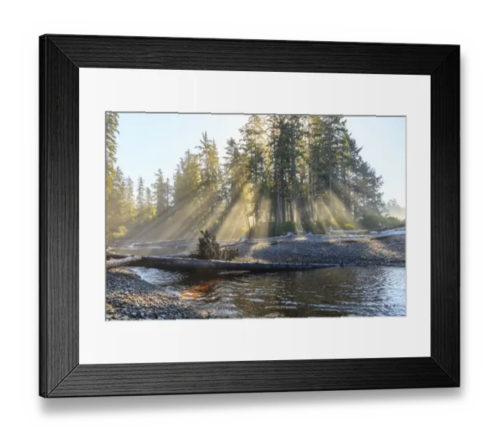 Framed Print : Sunshine streaming through trees, Juan De Fuca Trail, near Jordan River, Vancouver Island, British Columbia, Canada