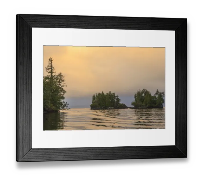 Framed Print : Wilderness scenery in Clam Cove near Browning Passage, Northern Vancouver Island, British Columbia, Canada Framed Print : Wilderness scenery in Clam Cove near Browning Passage, Northern Vancouver Island, British Columbia, Canada