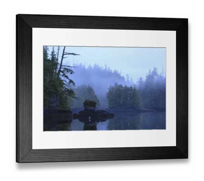 Framed Print : Wilderness scenery in Clam Cove near Browning Passage, Northern Vancouver Island, British Columbia, Canada Framed Print : Wilderness scenery in Clam Cove near Browning Passage, Northern Vancouver Island, British Columbia, Canada
