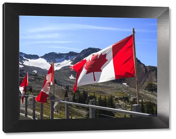 Canadian flags in Whistler Resort in early Fall, British Columbia, Canada