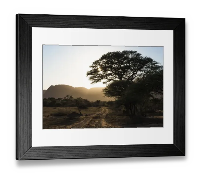 Framed Print : Bushveld track at sunrise, Marataba Private Game Reserve, Limpopo, South Africa