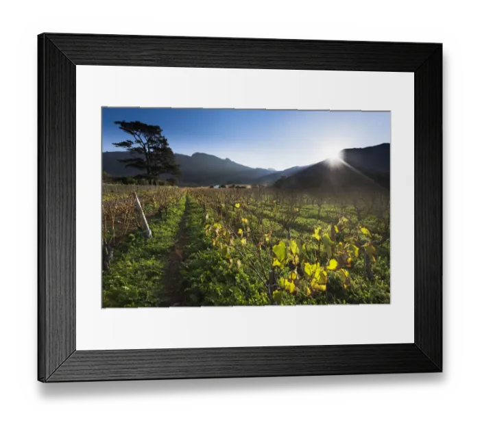 Framed Print : Last light of day on Klein Constantia Estate, Cape Town. RSA