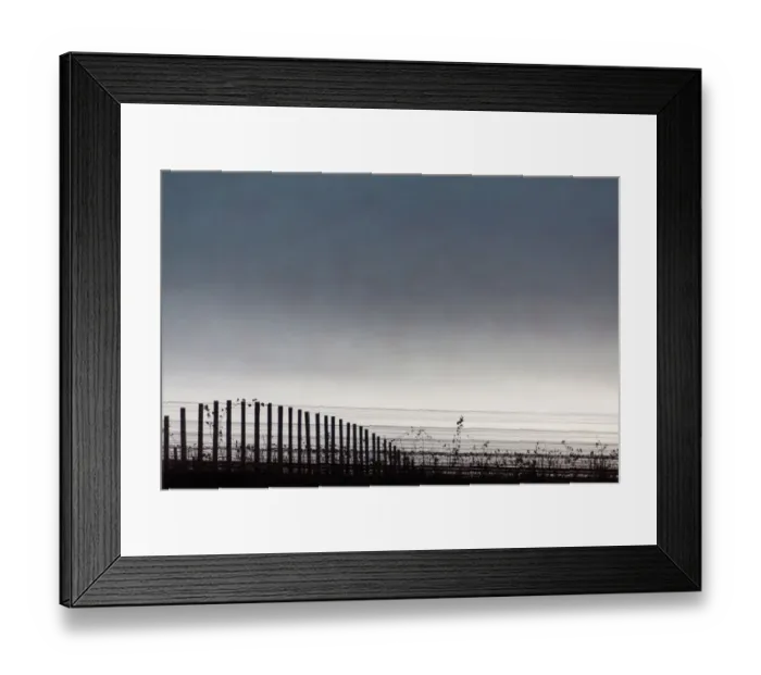 Framed Print : Vineyards of Groot Constantia Estate. Cape Town. RSA