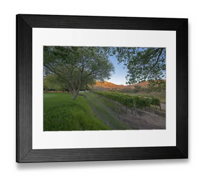 Framed Print : Early morning on ou kaapse Weg. Constantia Uitsig, Cape Town. RSA Framed Print : Early morning on ou kaapse Weg. Constantia Uitsig, Cape Town. RSA