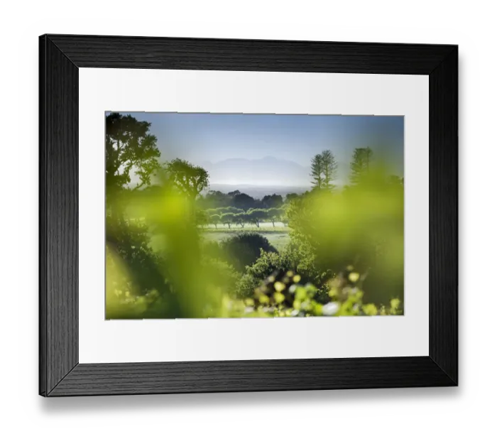 Framed Print : View from Buitenverwachting Framed Print : View from Buitenverwachting