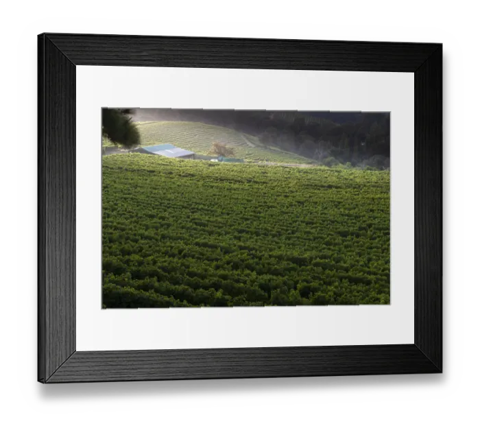 Framed Print : View of Constantia Glen from above. Cape Town. RSA Framed Print : View of Constantia Glen from above. Cape Town. RSA