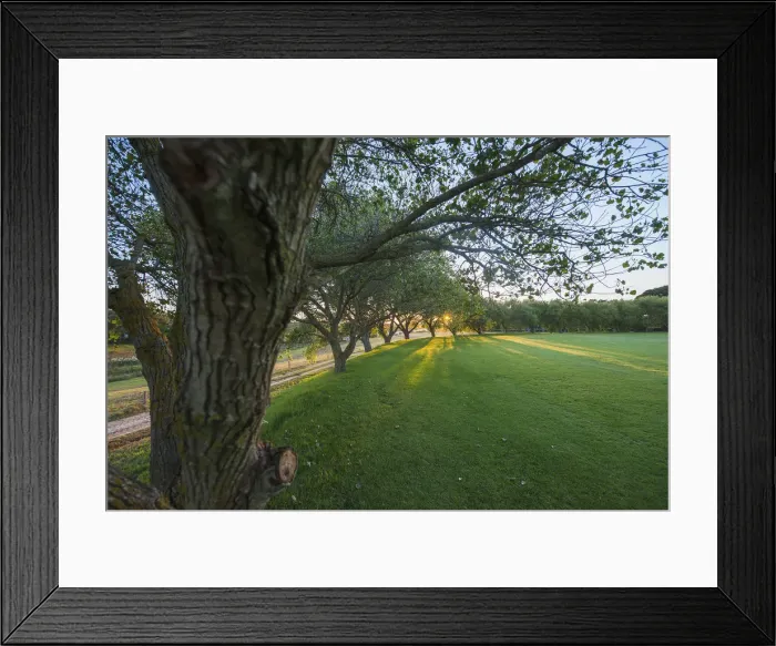 Framed Print : First light on cricket pitch. Constantia Uitsig. Constantia, Cape Town. RSA