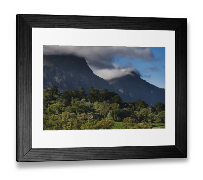 Framed Print : View of mountains from Groot Constantias highest vineyard. Cape Town. RSA Framed Print : View of mountains from Groot Constantias highest vineyard. Cape Town. RSA